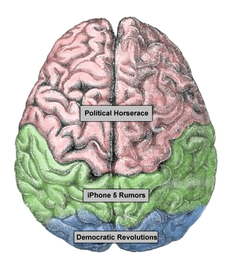 a visual of media consumption projected onto the brain