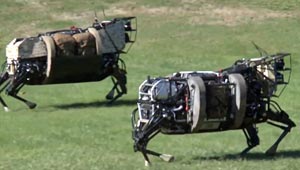 robotic-horse